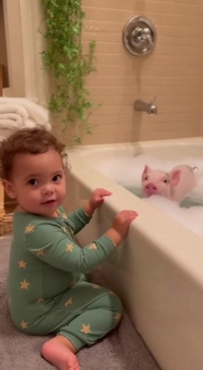 1.2K views | My little one saw the baby pig taking a shower and ran to mommy saying, “Look mama… piggy is doing bath like me!” 梁 Cutest commentary ever. #BabyAndPig #CuteMoments #PigShower #AdorableKids #ViralReels #SweetVibes | WAR ZONE | Facebook