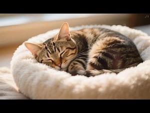 Deep Relaxation for Your Mind | Soothing Ambient Sounds