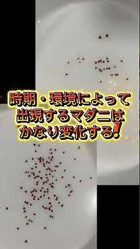 マダニ定点調査の意義
