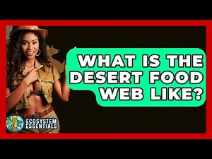 What Is The Desert Food Web Like? - Ecosystem Essentials