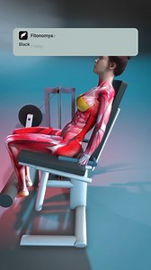 31K views · 271 reactions | The leg extension chair is one of the...