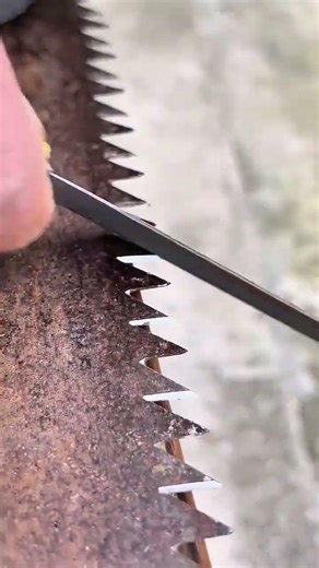 File sharpens rusty saw—hidden tool care craft revealed in flawless restored cutting precision
