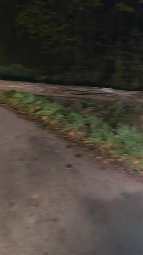 Anna Goodman road. Unity twp...use caution. Road crews are starting to remove debris! | LIVE Action Station 7teen