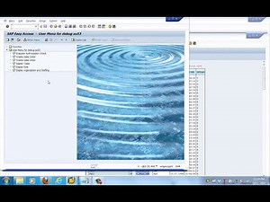 SAP Security Tutorial | SAP Delivered Checks SU22 Tutorials