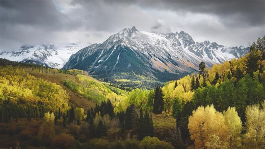 The Process of Switching to Medium Format