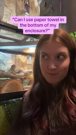 Caring for Bearded Dragons: Paper Towels vs. Substrate