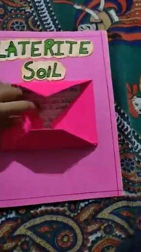 portfolio of different types of soil /class 10/project file / social sciences/geography🗺️🌏📗