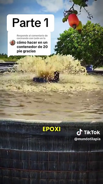 Transforma un Contenedor en una Piscifactoría