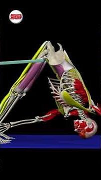 DOWNWARD FACING DOG POSE with SPINAL ROTATION 🔽 🐕