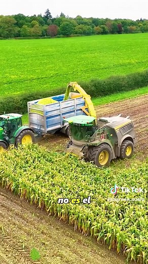 Understanding the Silage Production Process