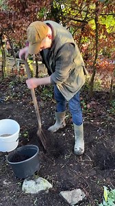 2.1K views · 89 reactions | Geum can be planted from now ,they flower for months and last for years ! Available in webshop https://pergolanurseries.ecwid.com ALL IRELAND DELIVERY Pergola Nurseries Garden Corner Virginia,Co Cavan A gardeners oasis of quality plants Open Tues-Sat 10.30-5.30 Open Sun 2-5.30 #hardyperennials #gardencolours #gardenideas | Pergola Nurseries Garden Corner | Facebook