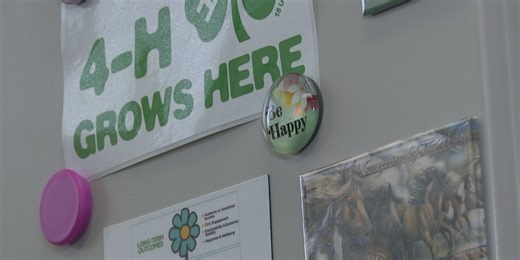 MSU aims to reach more potential students through 4-H