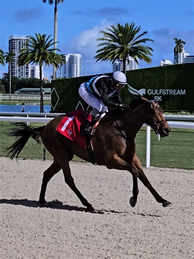 Vazhi and John Velázquez Shine at Gulfstream Park