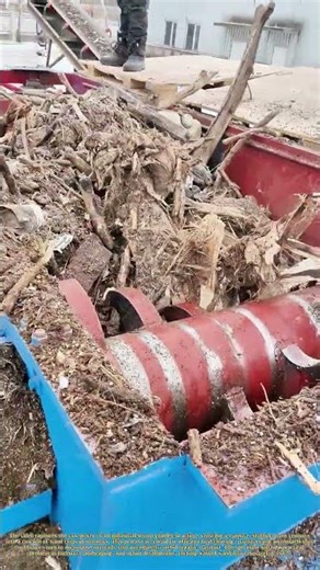 Grinding Giants to Mulch: Where Old Tree Stumps Become New Soil