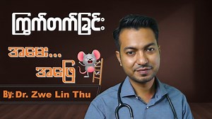 969K views · 85K reactions | ကြွက်တက်ခြင်းဟာ အလွန်ပဲ ခံရခက်တဲ့ အတွေ့...