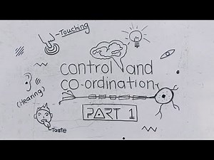 Control And Coordination - Class 10 CBSE Sci-BKPV2 ||class 10 sci ch 7 control and coordination bkp