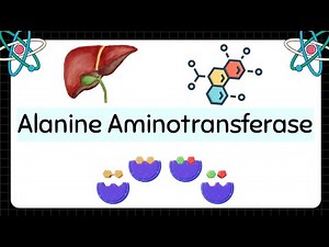 ALT in Clinical Chemistry: Function, Clinical Use, Reference Values & MedTech Role