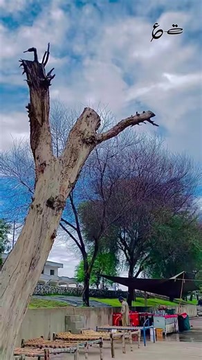 Saraiki Poetry Highlights from Derai Ismail Khan