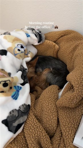 Morning Routine Tips for a Productive Workday