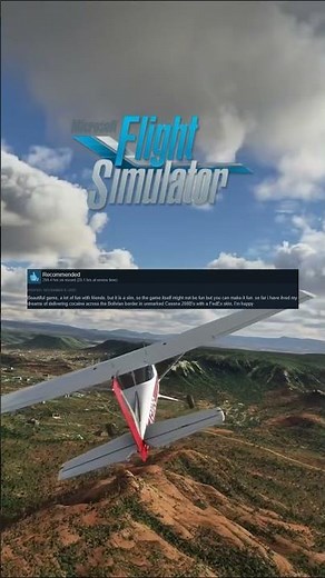 Best Steam Reviews of Microsoft Flight Simulator! (Part 2) #steam #gaming #microsoftflightsimulator