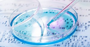 Scientists Find Gene Responsible for Intellectual Disability Disorder