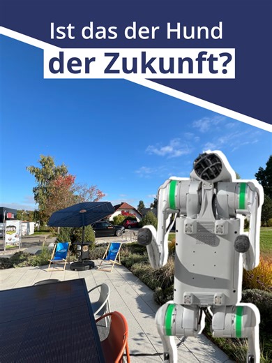 Sehen so unsere Haustiere in der Zukunft aus? #Wissen #Galileo #Roboter #Zukunft #fyp