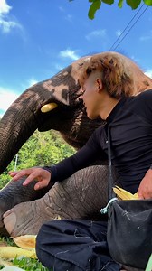 Bank Mahout on Reels