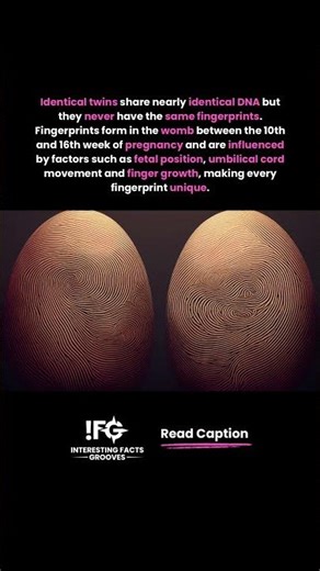 Twins Have Different Fingerprints