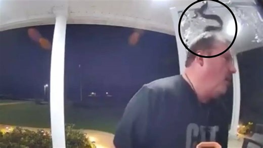 Viral Video: Doorbell Camera Captures Moment Snake Bites Man On His Head