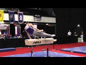Alec Yoder - Pommel Horse - 2014 Men's Junior Olympic National Championships