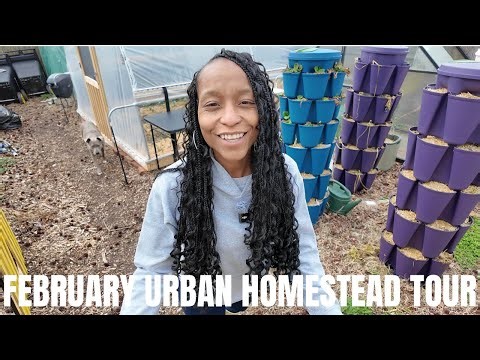 Urban Homestead Tour (Inside + Outside) | Greenhouses and Garden in February | Virginia, Zone 7B