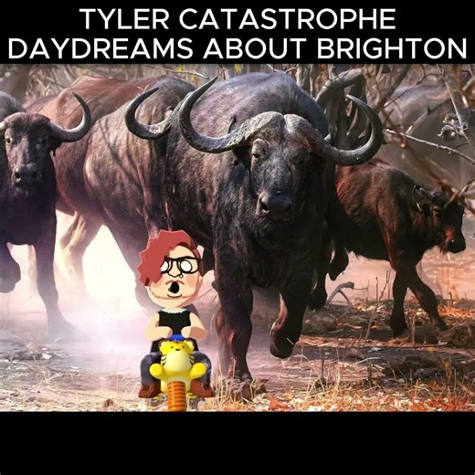 tyler catastrophe daydreams about brighton...