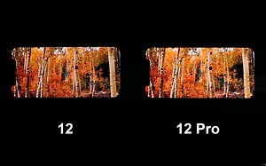 12和12P用起来其实感知差距并不大，但是贵肯定有贵的道理是吧～