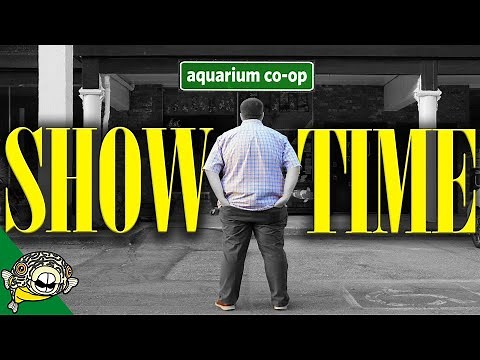 My Local Fish Store - I OWN IT