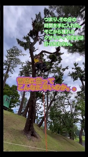 【ツリークライミング】ニーアッセンダーを初めてまともに活用。世界観が変わる。高い木も高くないぜ#アーボリスト#MRS#CAMP#arborist #chavlin