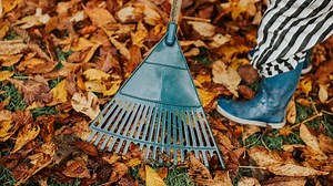 Market seasonality: Why is November such a big month for stocks?