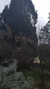 13K views · 424 reactions | Just started snowing in Yetholme, so lightly between Lithgow and Bathurst Sent into storm watch by Rhonda ODowd Via NSW Storm Watch Weather Spotter"s | New South Wales STORM WATCH | Facebook