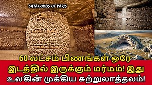 255K views · 2.5K reactions | Catacombs of Paris! 60 லட்சம் பிணங்கள்...