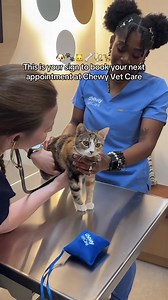12K views · 224 reactions | From wellness exams and vaccinations to sick visits, surgeries, Chewy Vet Care is here for the boops, oops, and everything in-between. | Chewy Vet Care | Facebook