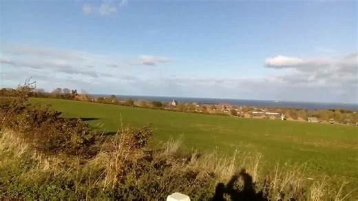 Blustery Walk With Luna | David Hinton