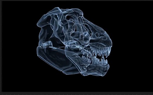 【maya教程】Redshift 渲染X光效果（附工程文件）