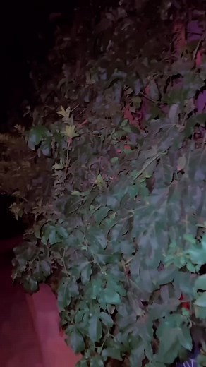 Hamze_____matio على TikTok