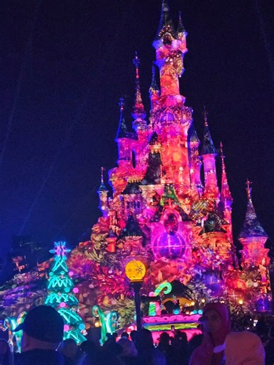 Amazing Year as a Disney Adult: Annual Pass Holder Experiences