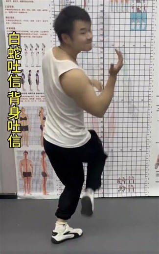 Disappear & Reappear: Mastering the Baguazhang Spin Strike