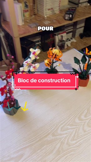 Boîte de construction #briquedeconstruction #boitedeconstruction #fleures #briqueconstruction #blocdeconstruction