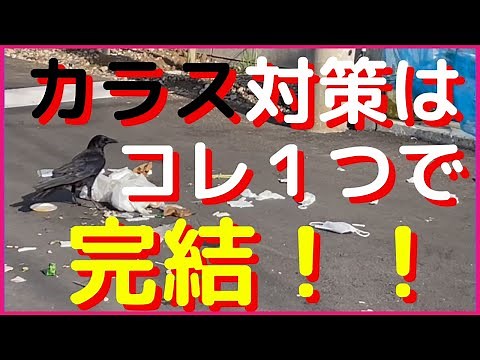 ごみ集積所のカラス被害は防げます！ これまでとは “全く逆の発想”で【カラスに必勝宣言！！】