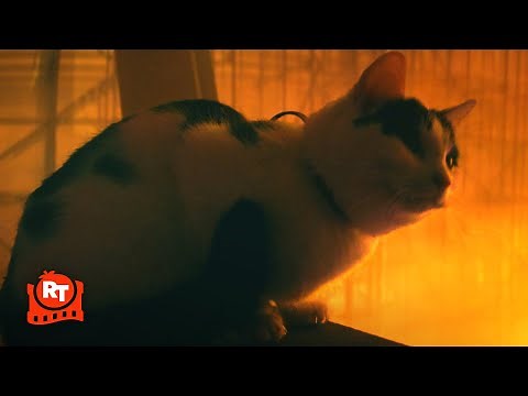 A Quiet Place: Day One (2024) - Saving the Cat Scene | Movieclips