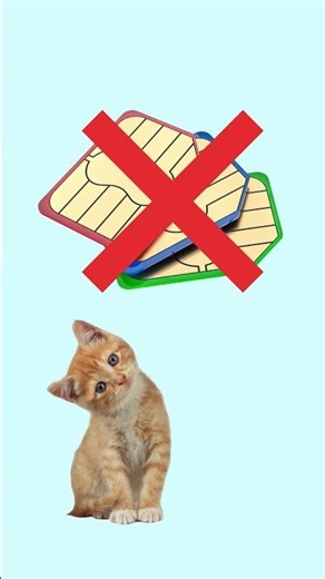 How Milo saves 90% on travel data with SimUno #travel #cats