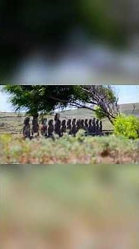 The Emu War | When Birds Beat the Army