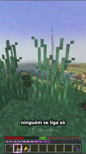 Assista até o final... #minecraft